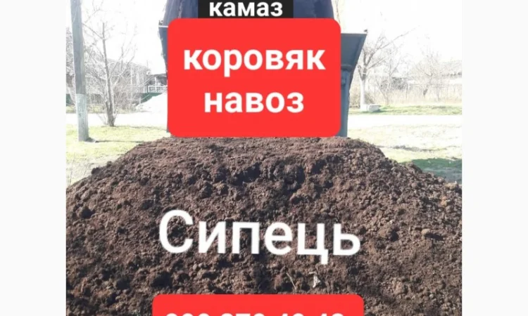 Доставка чорнозему та перегною в Одесі - фото № 3