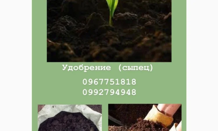 Сипець, перегній, чорнозем, компост у продажу - фото № 2