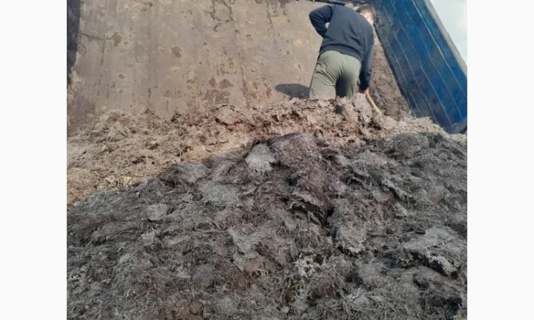 Сипець, перегній, чорнозем, компост у продажу - фото № 6