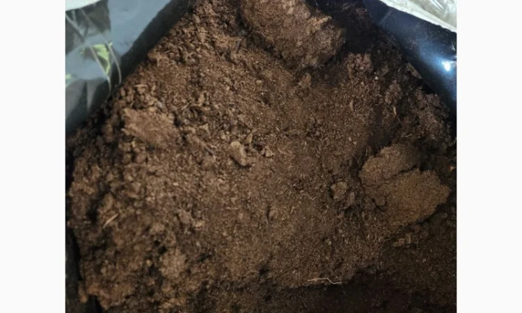 Верховий кислий торф 250 л, продаж - фото № 2