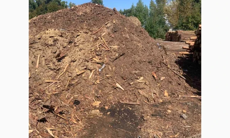 Продаємо соснові відходи - фото № 1