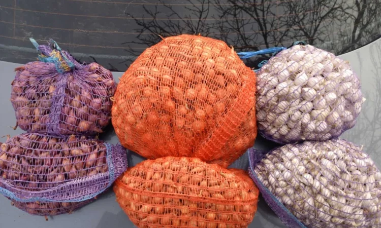 Продам сівок штутгарт - фото № 1