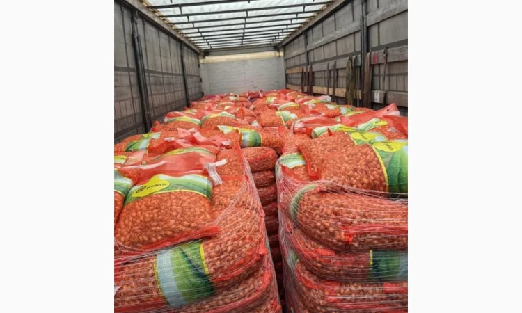 Сіянка оптом з Голандіі - фото № 1