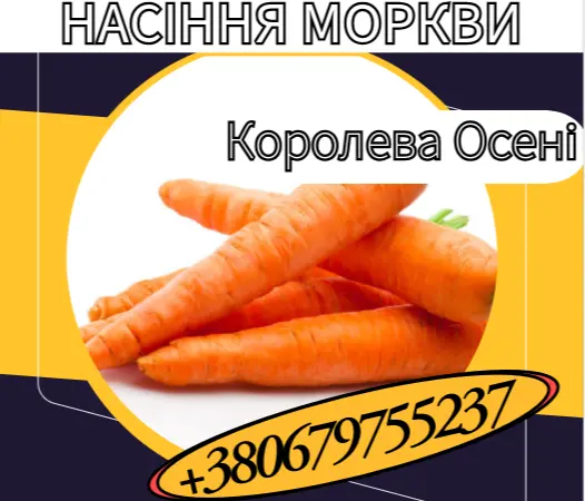 Насіння Моркви Королева Осені. Насіння Моркви - фото № 1