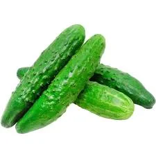 Продам семена для огурцов дешево от 20тонн - фото № 1