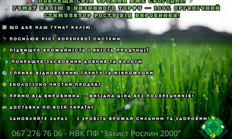 Гумат калію від виробника! Гумат з низинного торфу - фото № 2
