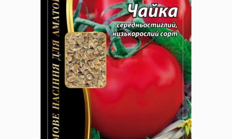 Семена томата 'Чайка' Агромаксі в продаже - фото № 1