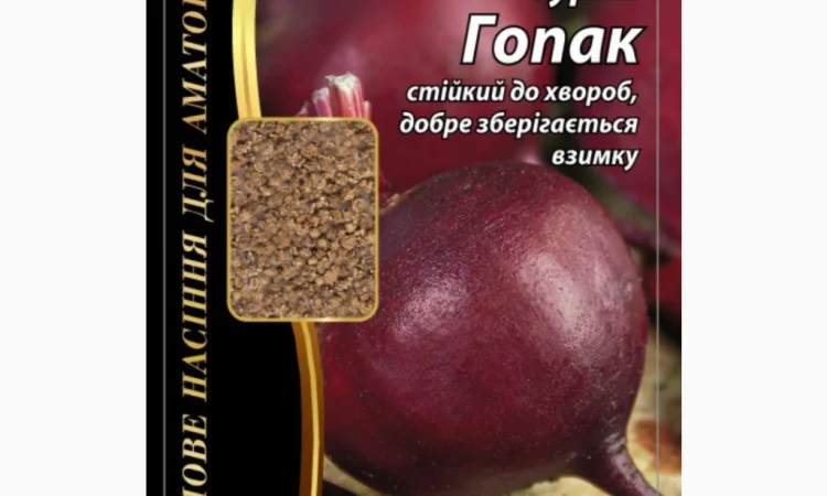 Буряк 'Гопак' Агромаксі – насіння для вашого врожаю - фото № 1