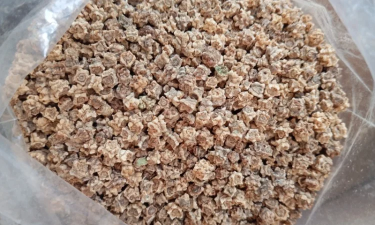 Семена кормової буряків різних сортів - фото № 2