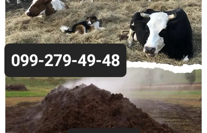 Сипець для городу та теплиці - фото № 3