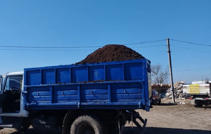 Продам сипець - фото № 1