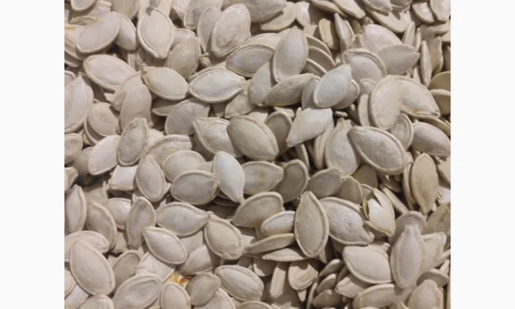 Свежие семена тыквы урожая 2025 года - фото № 1