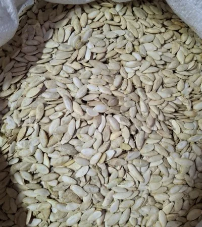 Продаж насіння гарбуза оптом та в роздріб - фото № 1