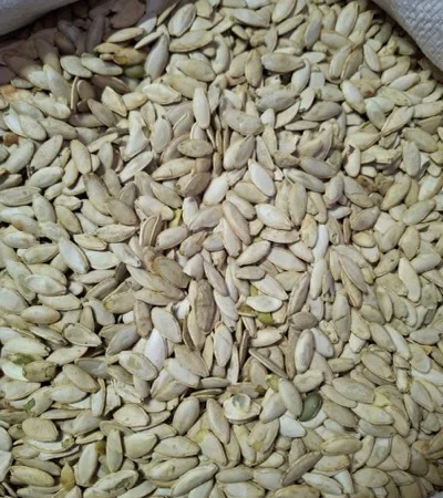 Продаж насіння гарбуза оптом та в роздріб - фото № 2