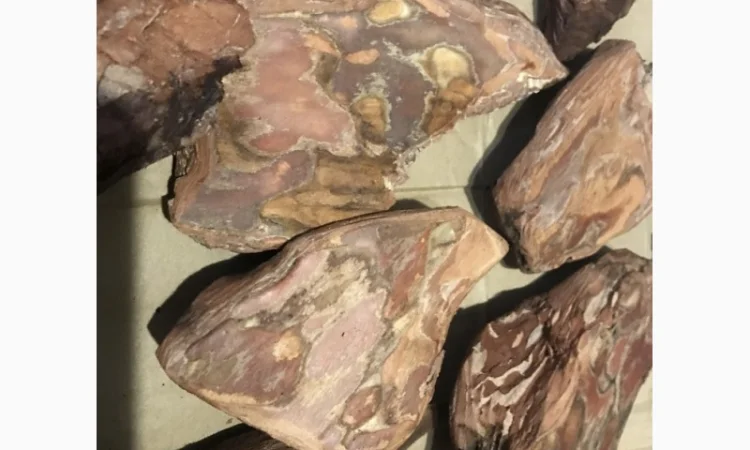 Блоки для орхідей - фото № 1