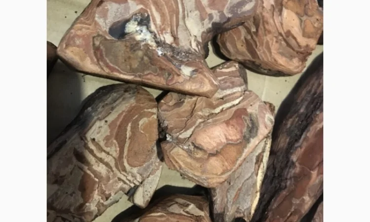 Блоки для орхідей - фото № 3