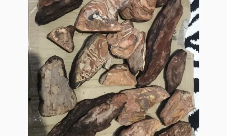 Блоки для орхідей - фото № 4