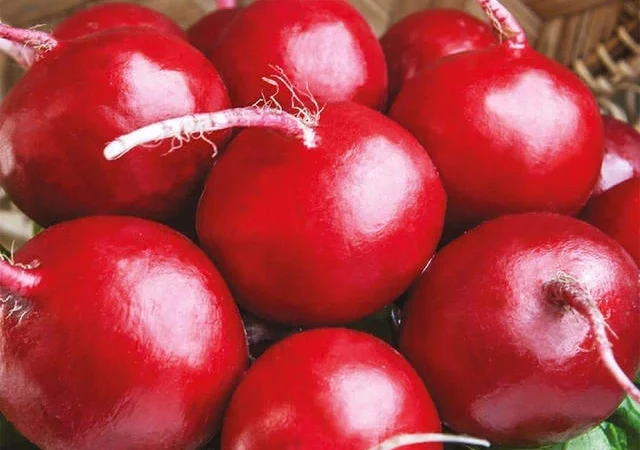 Насіння овочів і квітів на вагу - фото № 1