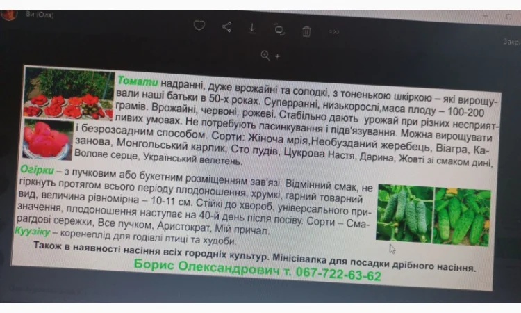Насіння овочей: кукуруза, помидоры, перцы и баклажаны - фото № 1