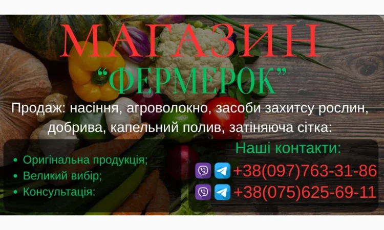 Продам насіння овочів - фото № 1