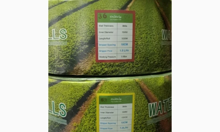 Продам насіння овочів - фото № 12