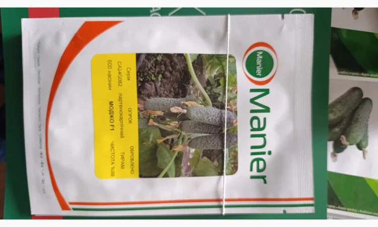 Продам насіння овочів - фото № 16