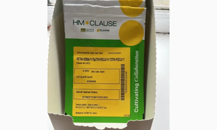 Продам насіння овочів - фото № 17