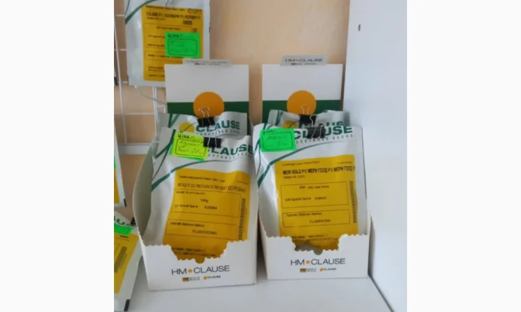 Продам насіння овочів - фото № 19