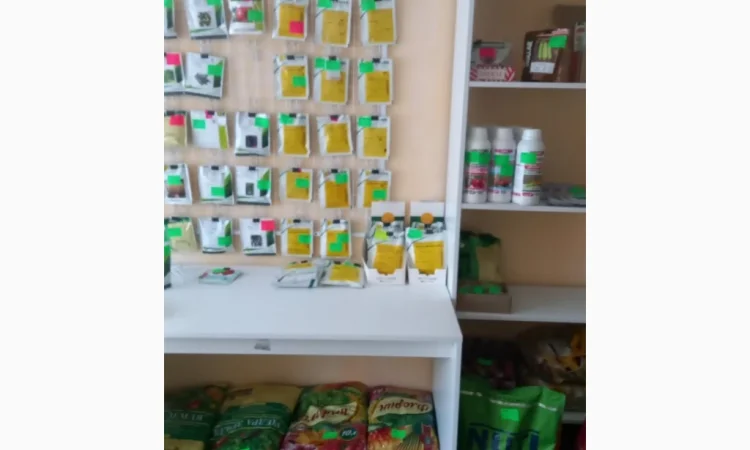 Продам насіння овочів - фото № 2