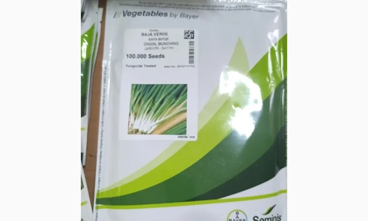 Продам насіння овочів - фото № 20