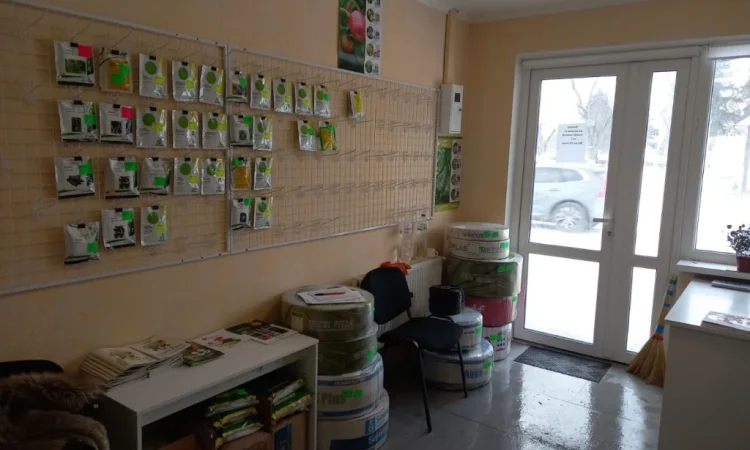 Продам насіння овочів - фото № 3