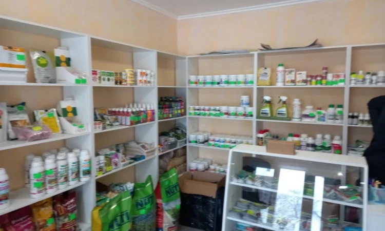 Продам насіння овочів - фото № 4