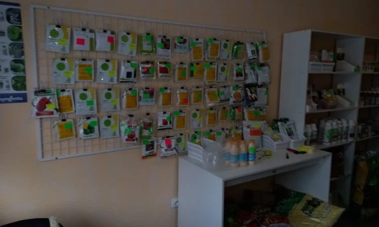 Продам насіння овочів - фото № 6