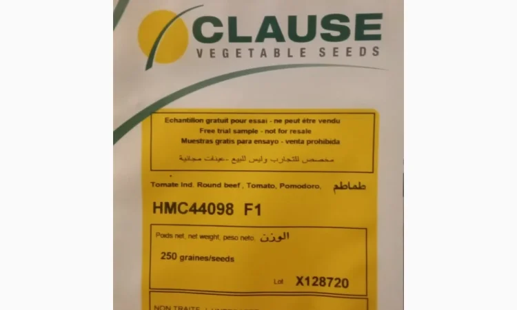 Продам насіння овочів - фото № 8