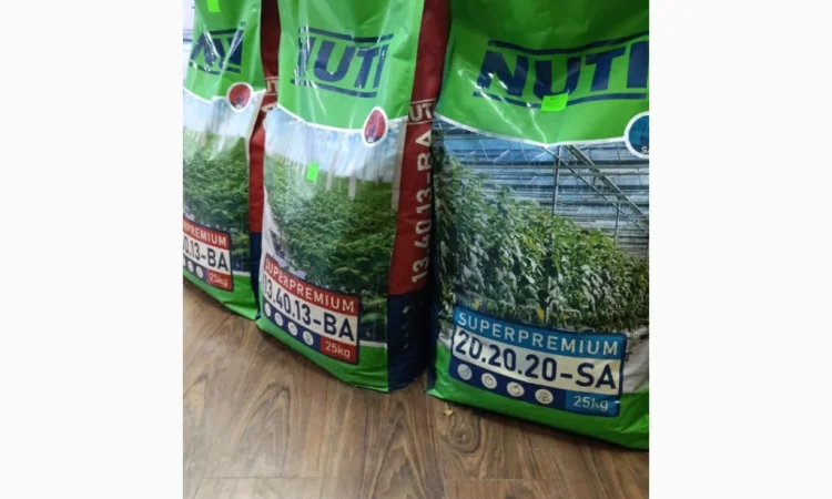 Продам насіння овочів - фото № 9