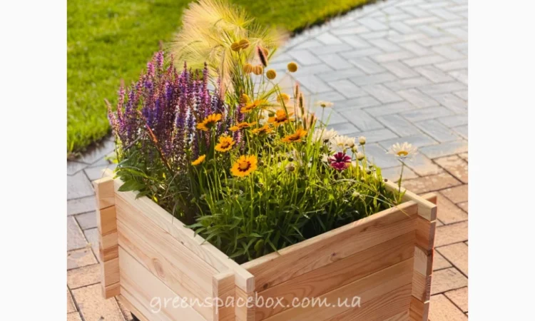 Кашпо для рослин - фото № 1