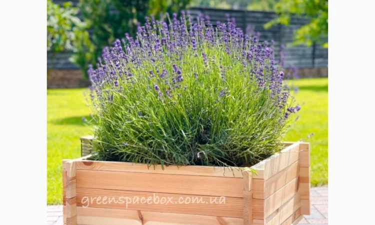 Садовий ящик-конструктор (кашпо) для рослин - фото № 4