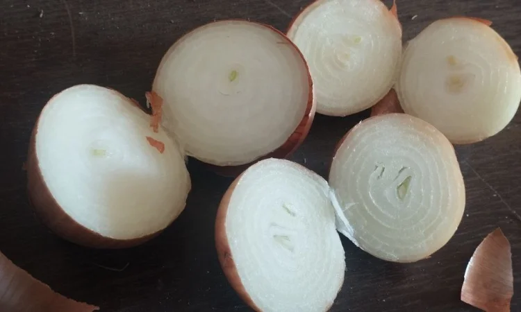 Лук репчатый - фото № 1