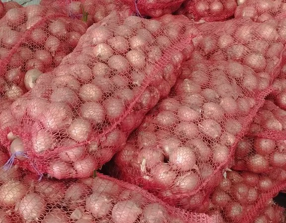 Лук репчатый - фото № 3