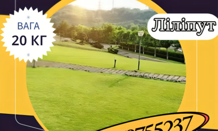 Насіння Газонної трави ліліпут (20 кг). Газонна трава - фото № 1