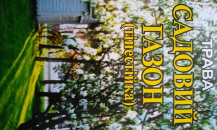 Семена Газонной Травы Садовая.Теневыносливая - фото № 3