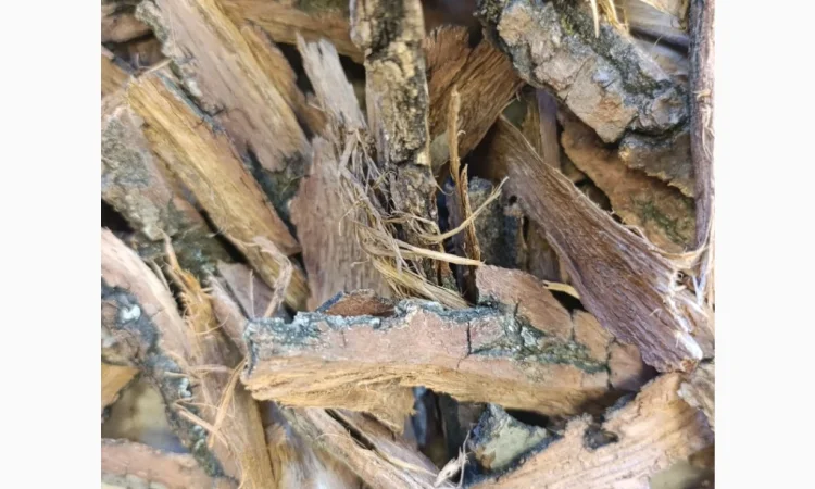 Куплю кору дуба - фото № 1