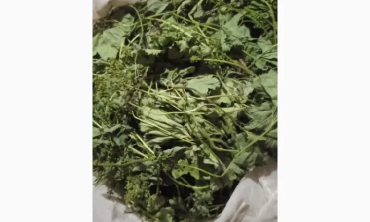 Куплю манжетку - фото № 1