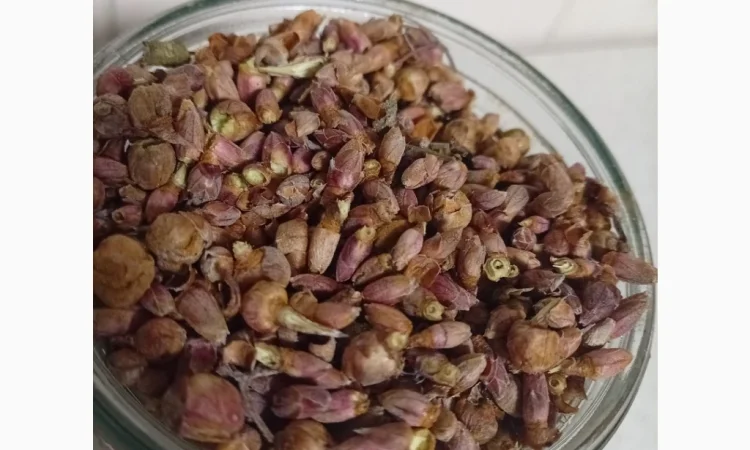 Продам бруньки смородини - фото № 2