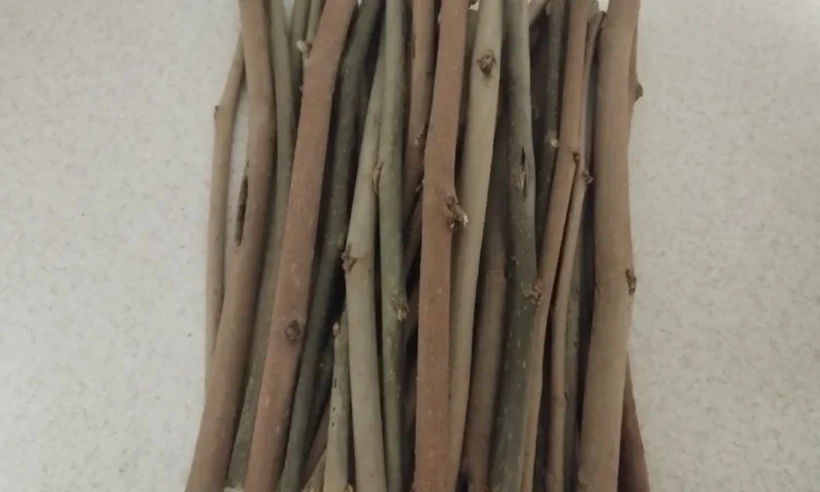 Продам гілочки для гризунів - фото № 1