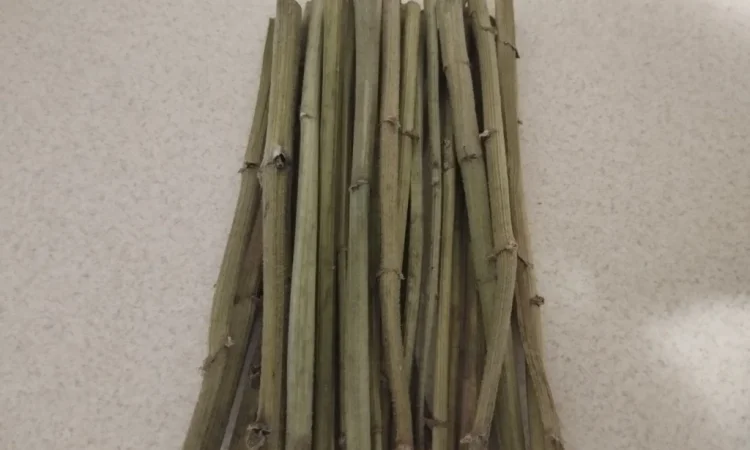 Продам гілочки для гризунів - фото № 2