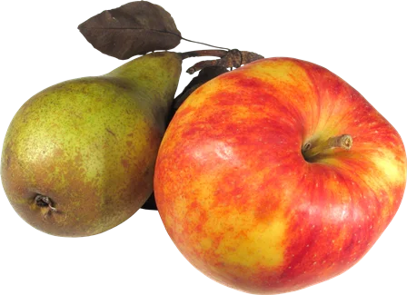 Кинетин 98% - регулятор роста растений - фото № 3