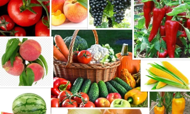 Кинетин 98% - регулятор роста растений - фото № 5