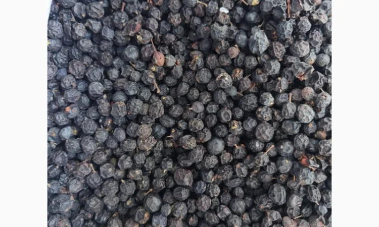 Продамо оптову партію ягід глоду (бояришник) - фото № 1