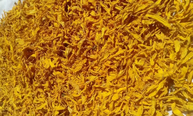 Куплю пелюстку соняшника - фото № 1